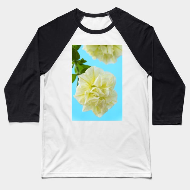 Petunia  Susanna  syn.  Petunia &#39;Kersusi&#39;   Tumbelina Series Baseball T-Shirt by chrisburrows